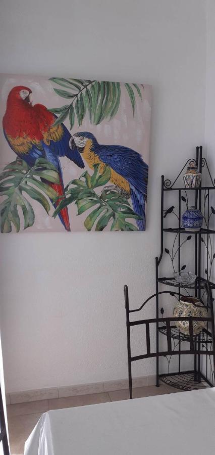 Studio Central Canet-en-Roussillon Luaran gambar